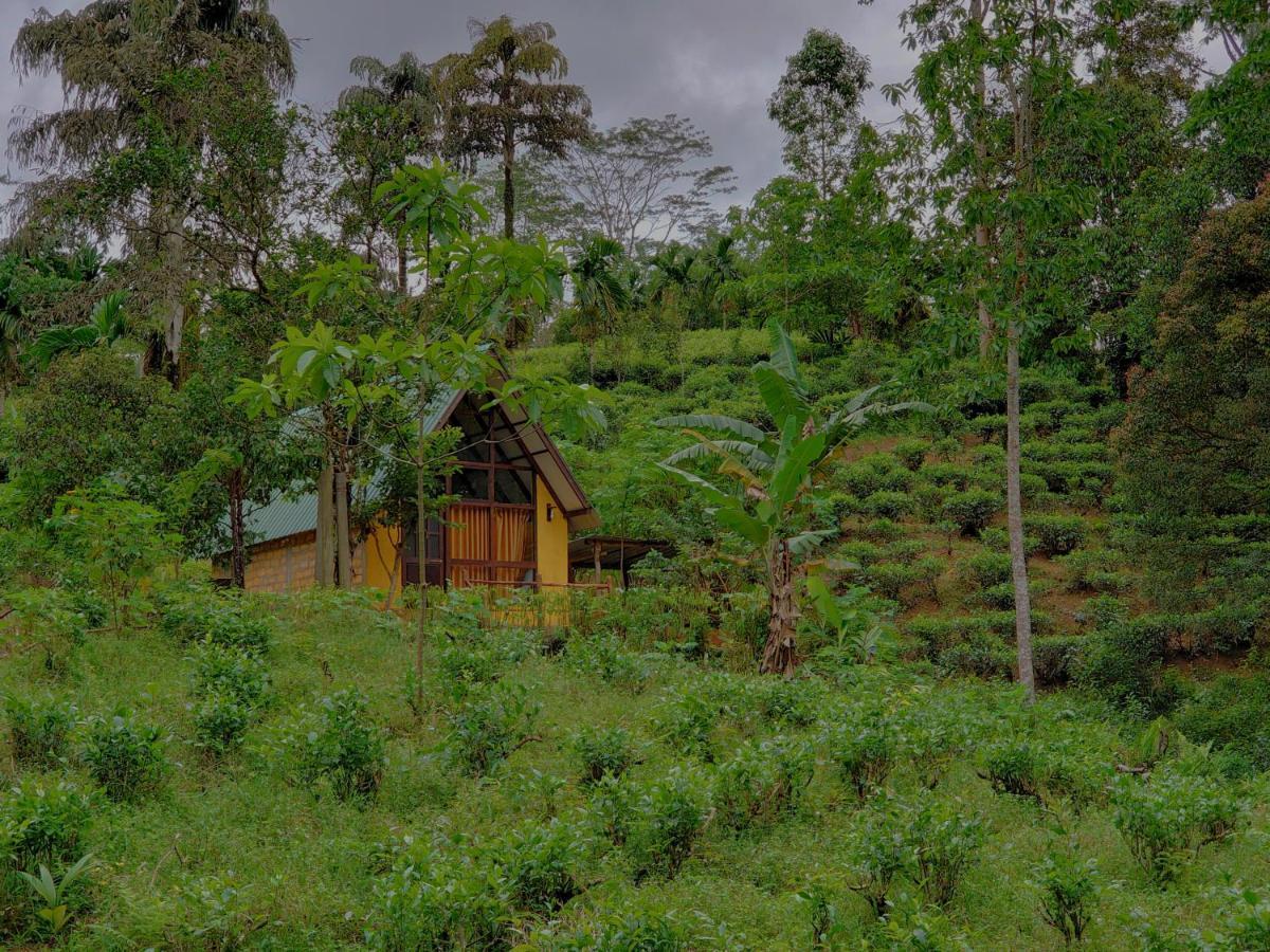 Rainforest Cabin Деніяя Екстер'єр фото