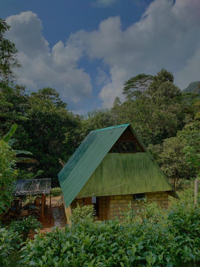 Rainforest Cabin Деніяя Екстер'єр фото
