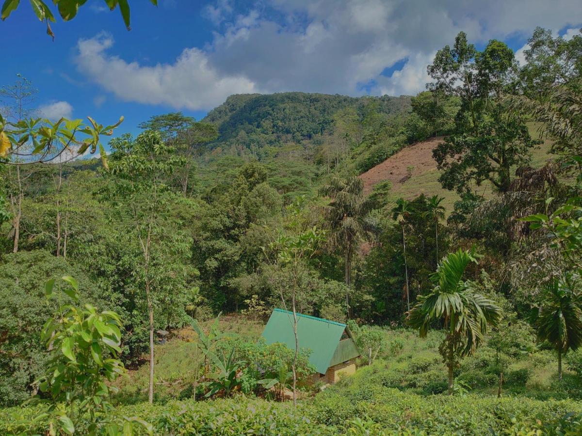 Rainforest Cabin Деніяя Екстер'єр фото
