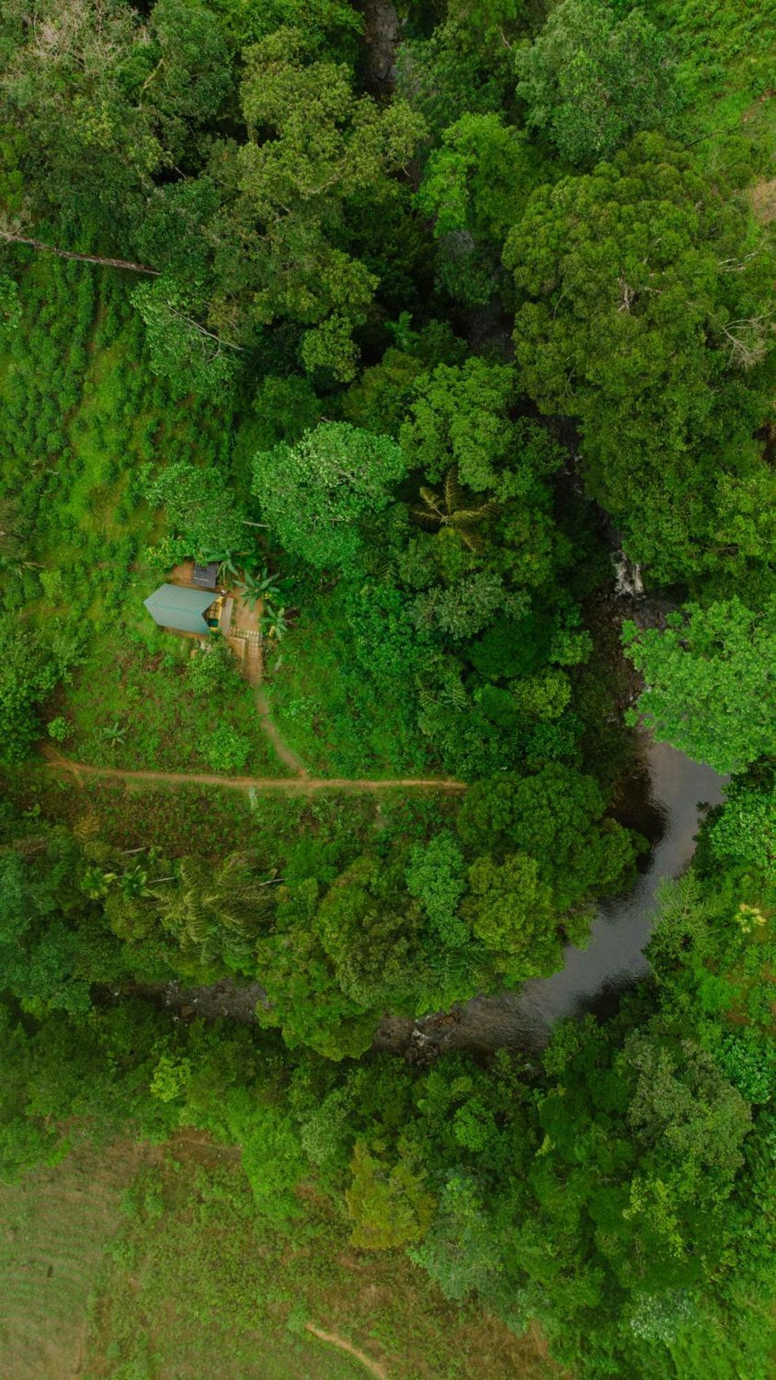 Rainforest Cabin Деніяя Екстер'єр фото