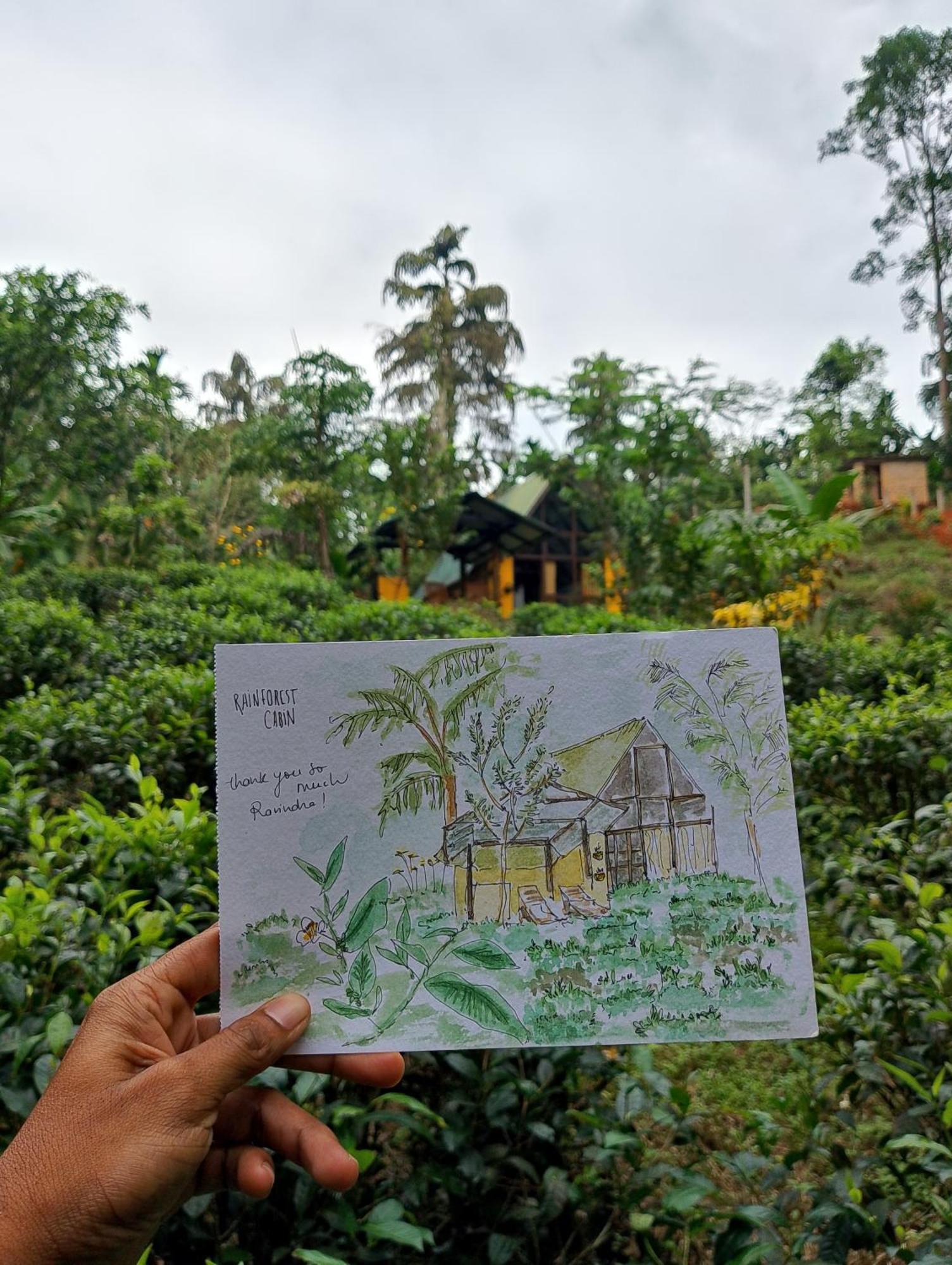 Rainforest Cabin Деніяя Екстер'єр фото