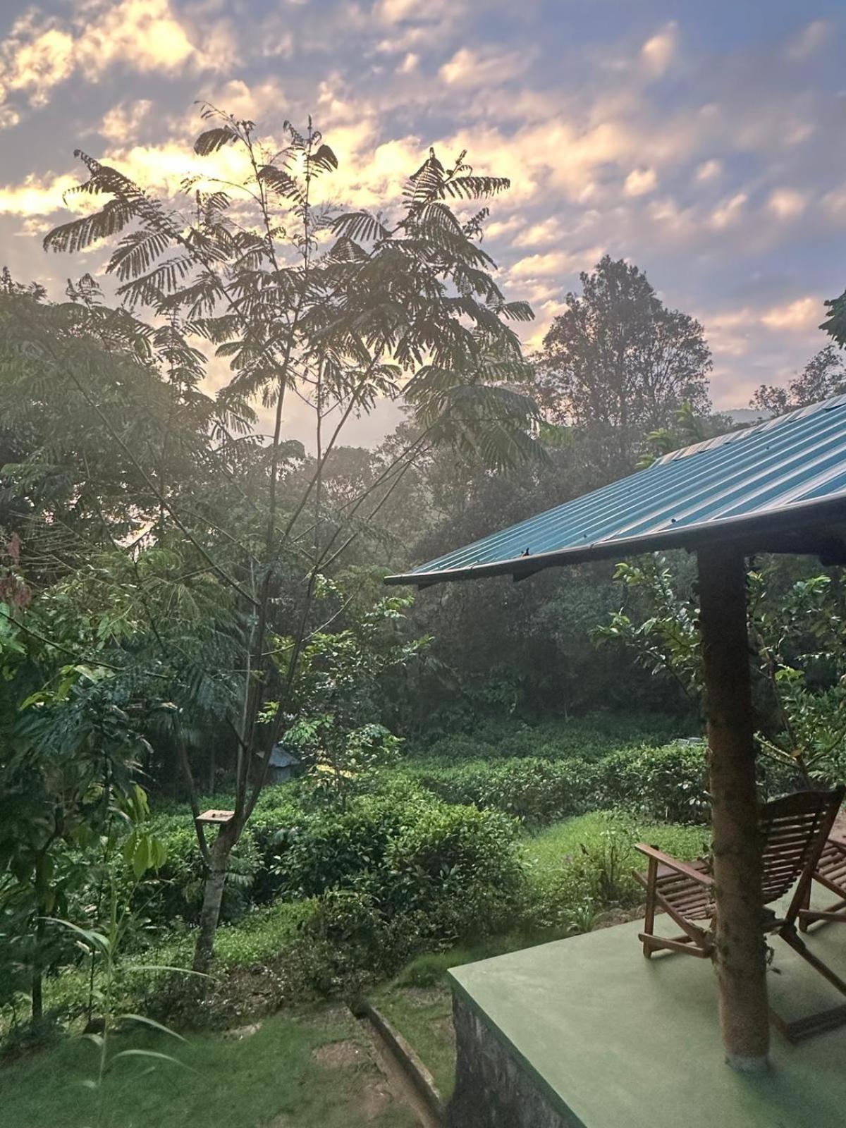 Rainforest Cabin Деніяя Екстер'єр фото