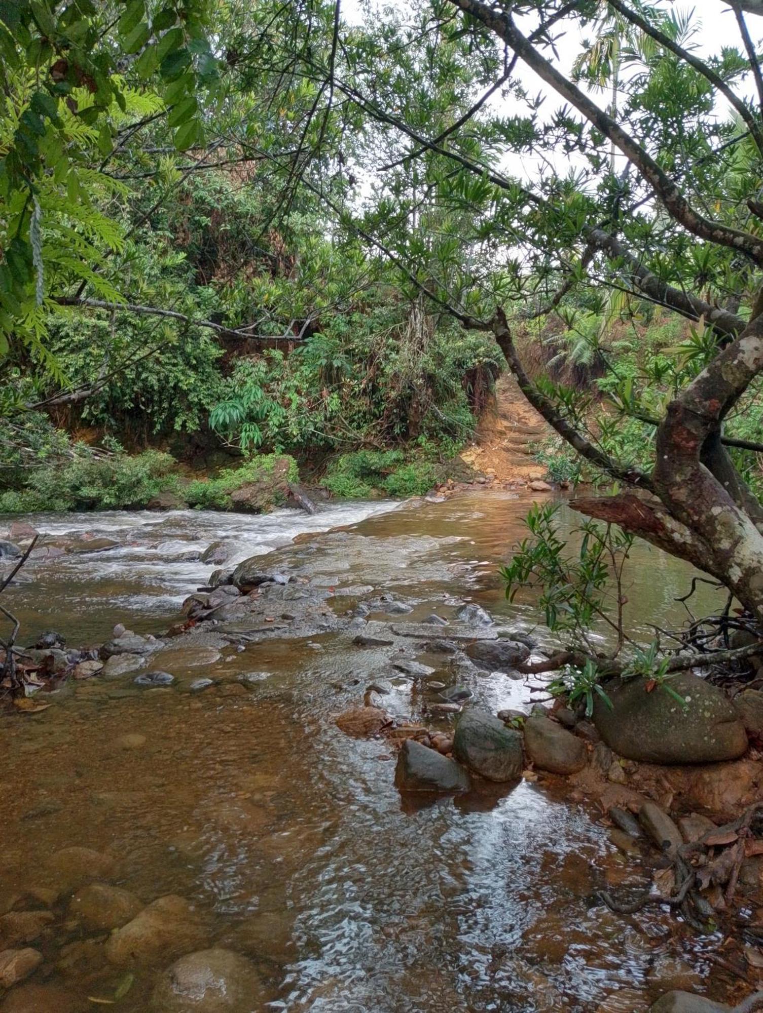 Rainforest Cabin Деніяя Екстер'єр фото